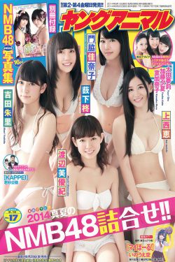 碧血剑